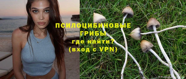 a pvp Арсеньев